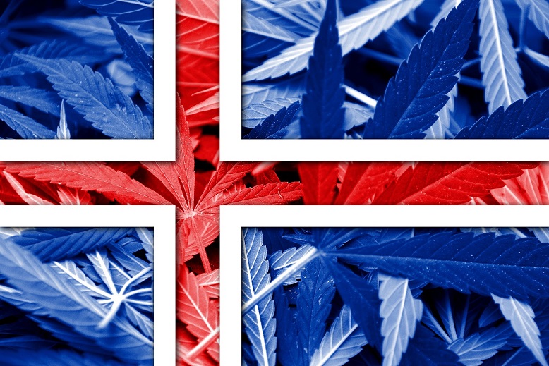 Hanf & CBD Auf Der Ersten Seite Der Größten Zeitung Islands