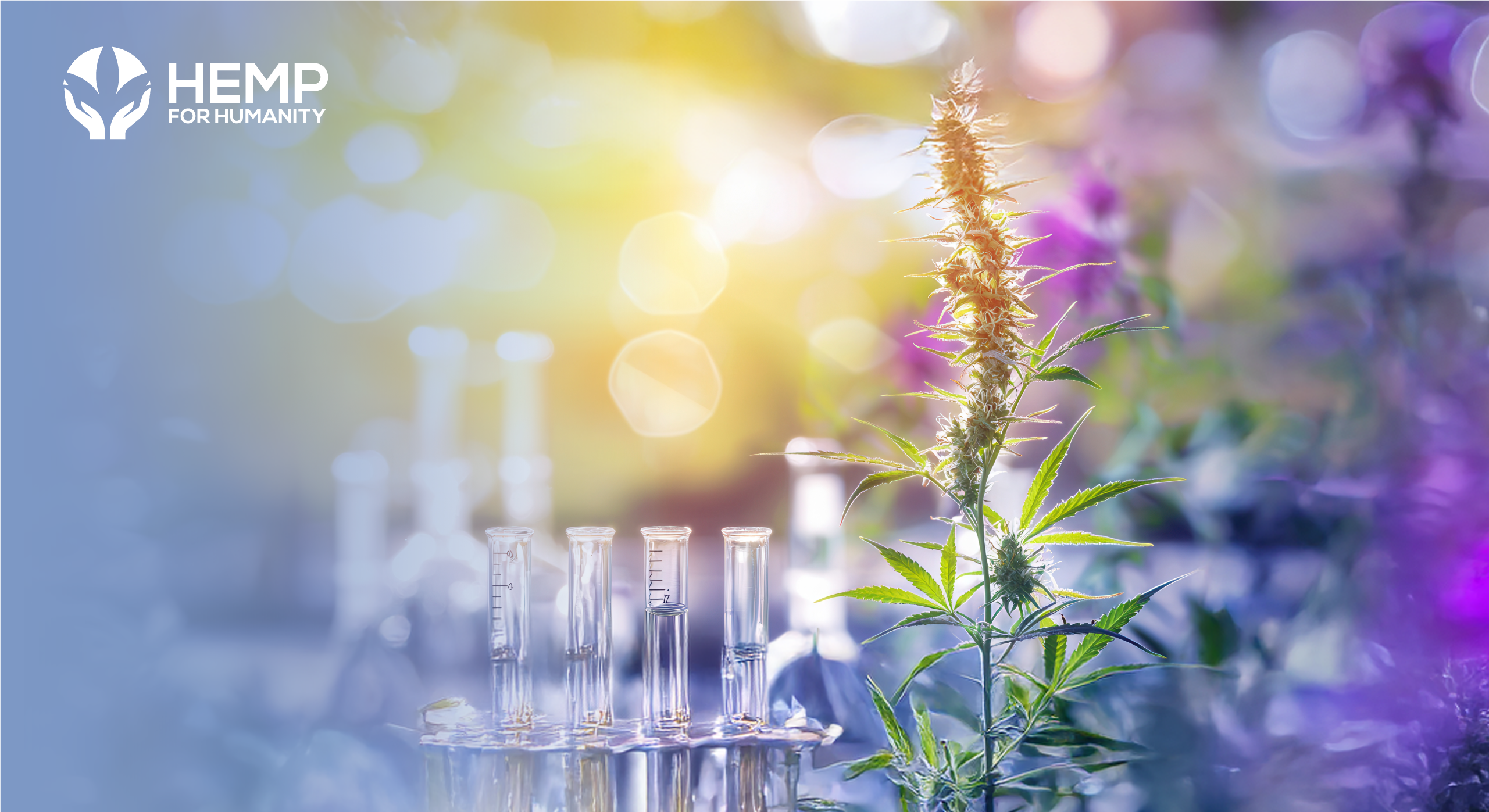 https://hempforhumanity.eu/fr/le-chanvre-dans-la-conversation-actuelle-sur-la-sante-la-ou-le-bien-etre-la-science-et-la-demande-des-consommateurs-se-rencontrent/